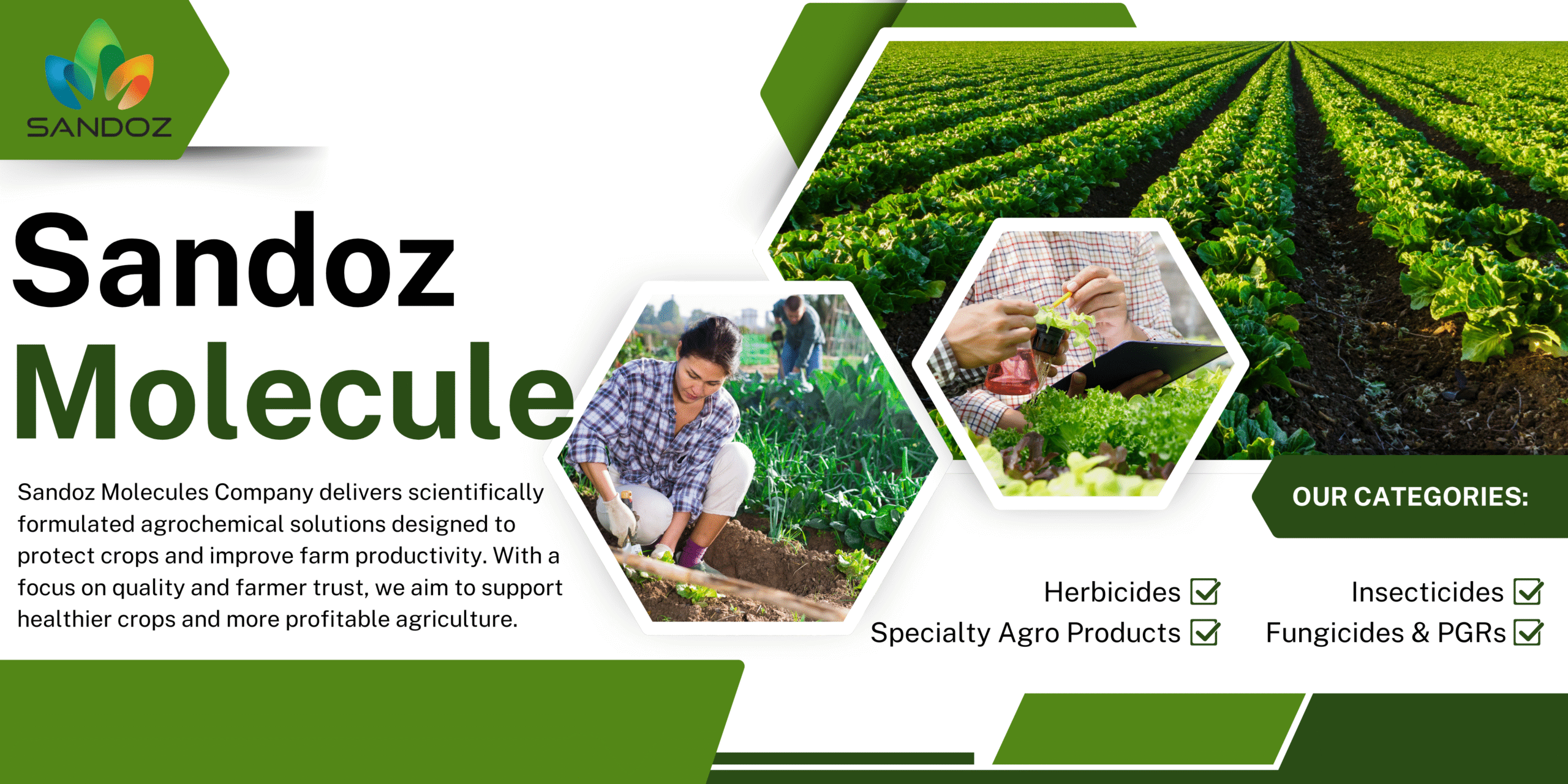Green Modern Agriculture Consultant Service Banner (1)