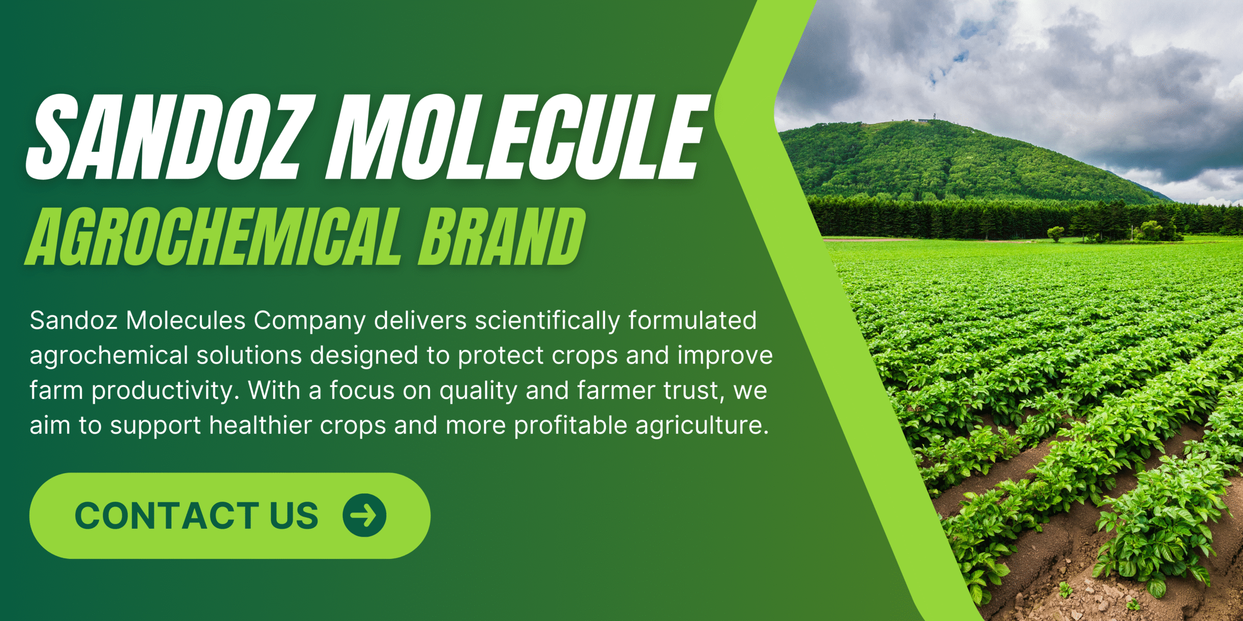 Green Modern Agriculture Consultant Service Banner